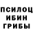 Псилоцибиновые грибы прущие грибы Demin.valerij.