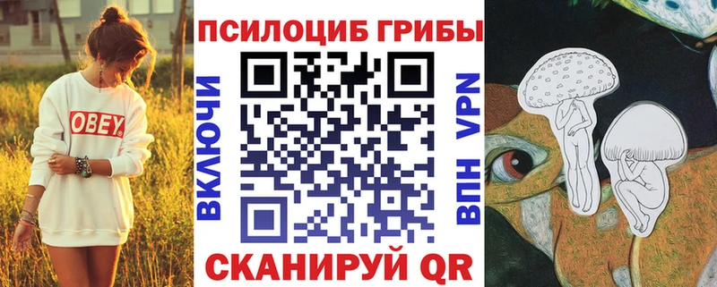 Псилоцибиновые грибы Magic Shrooms Пыталово